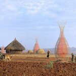WarkaWater Towers to Service Earth’s Desert Hydration Needs