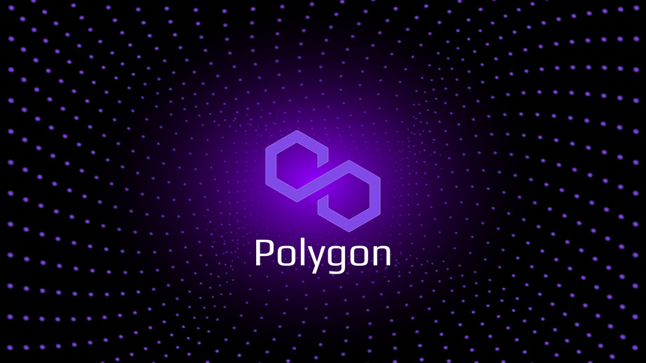 Polygon Team Points to Suspected 'Consensus Bug' Behind Temporary Outage